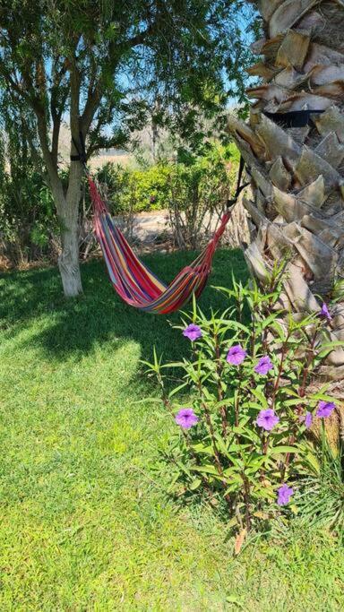 Villa Delle Stelle Con Piscina Леверано Екстериор снимка